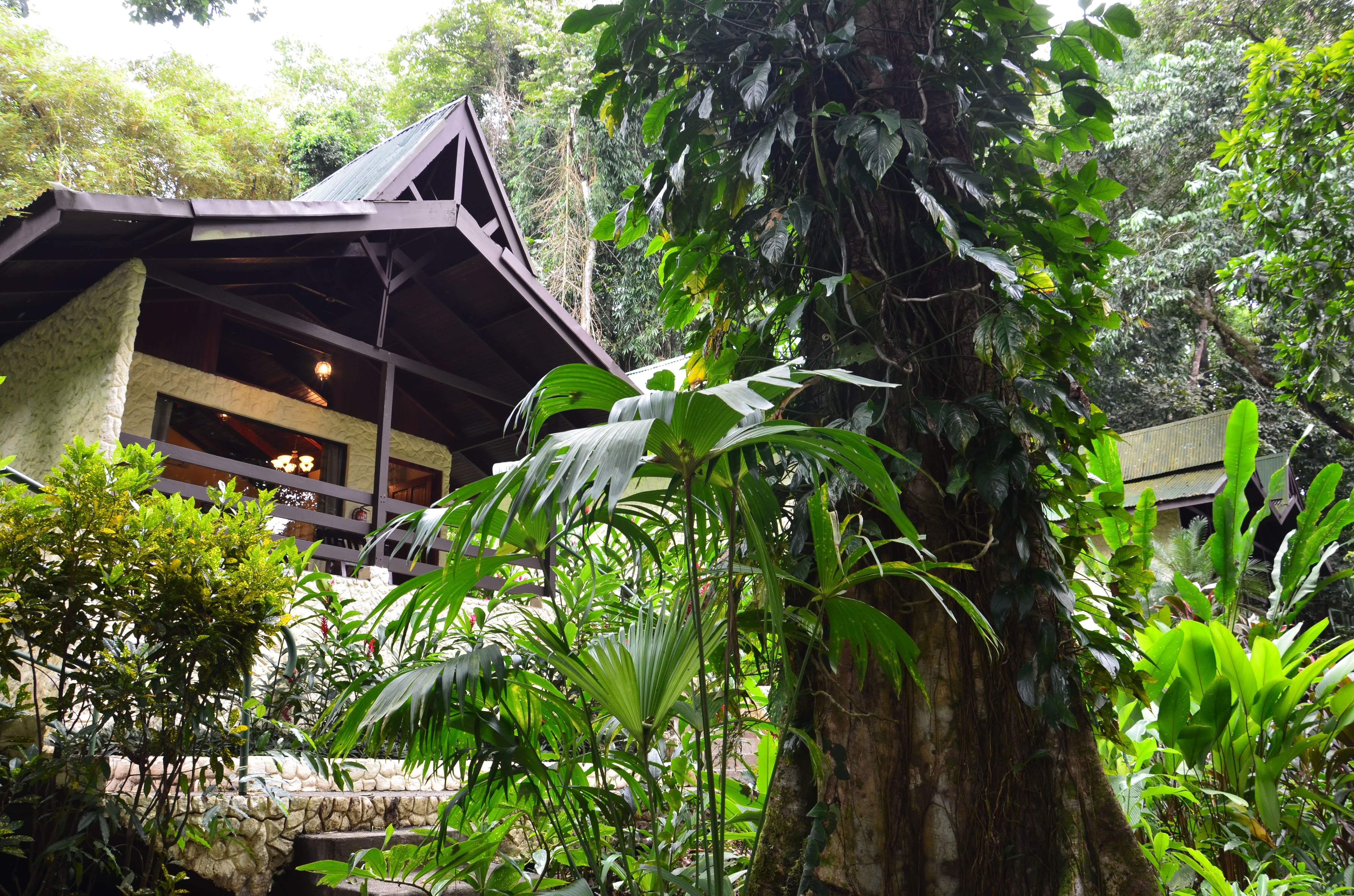 Ecotica Hotel & Resort (Adults Only) Vườn quốc gia Vườn quốc gia Manuel Antonio Ngoại thất bức ảnh