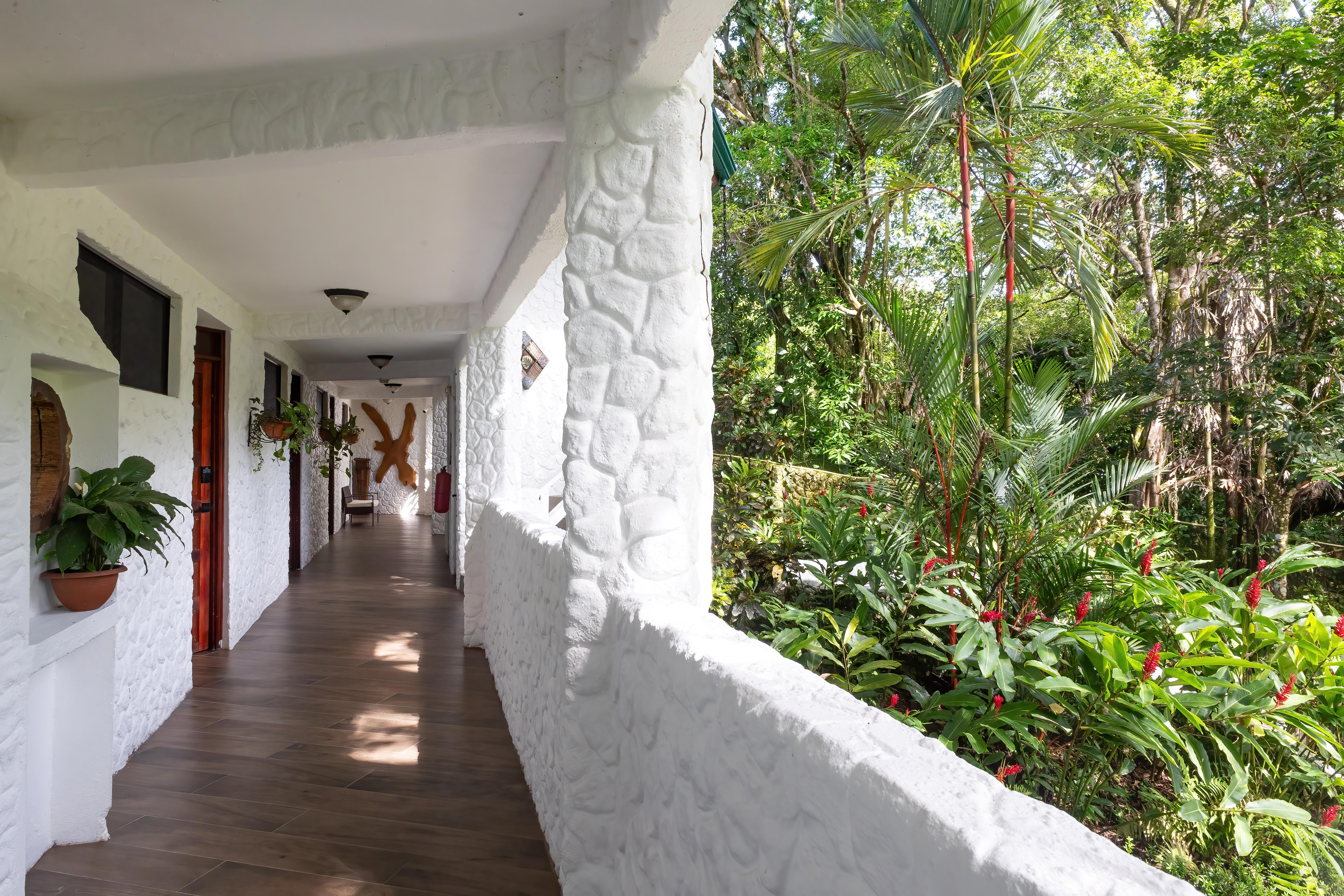 Ecotica Boutique Hotel (Adults Only) Vườn quốc gia Vườn quốc gia Manuel Antonio Ngoại thất bức ảnh