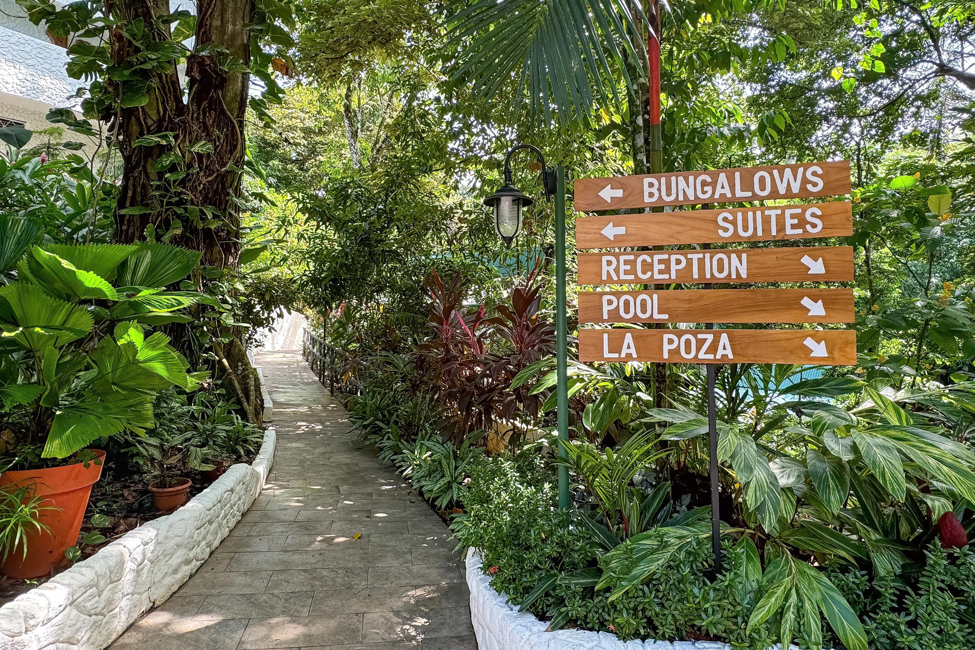 Ecotica Boutique Hotel (Adults Only) Vườn quốc gia Vườn quốc gia Manuel Antonio Ngoại thất bức ảnh